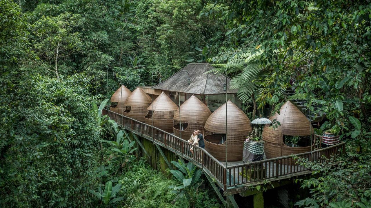 The Kayon Jungle 5*